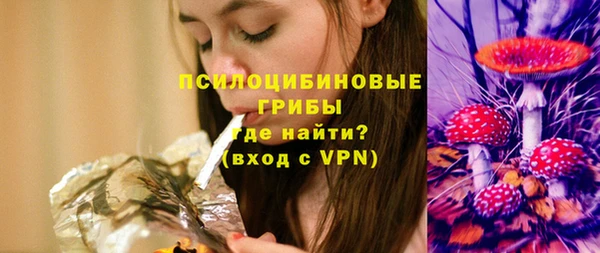 СК Липки
