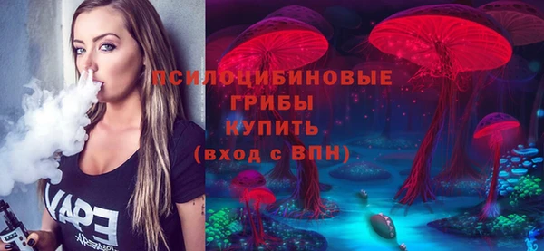 СК Липки
