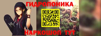 таблы Сланцы