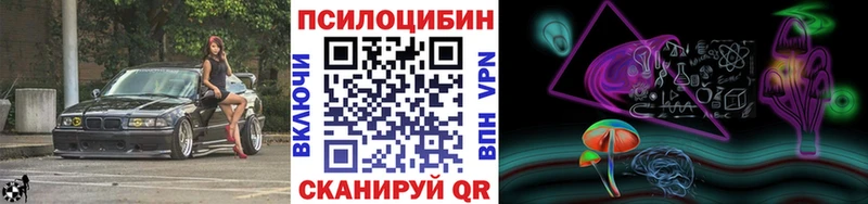 что такое   Тейково  Псилоцибиновые грибы Psilocybine cubensis 
