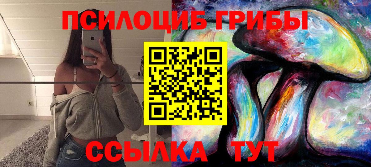 Тейково  Псилоцибиновые грибы Psilocybe  Вход с VPN 